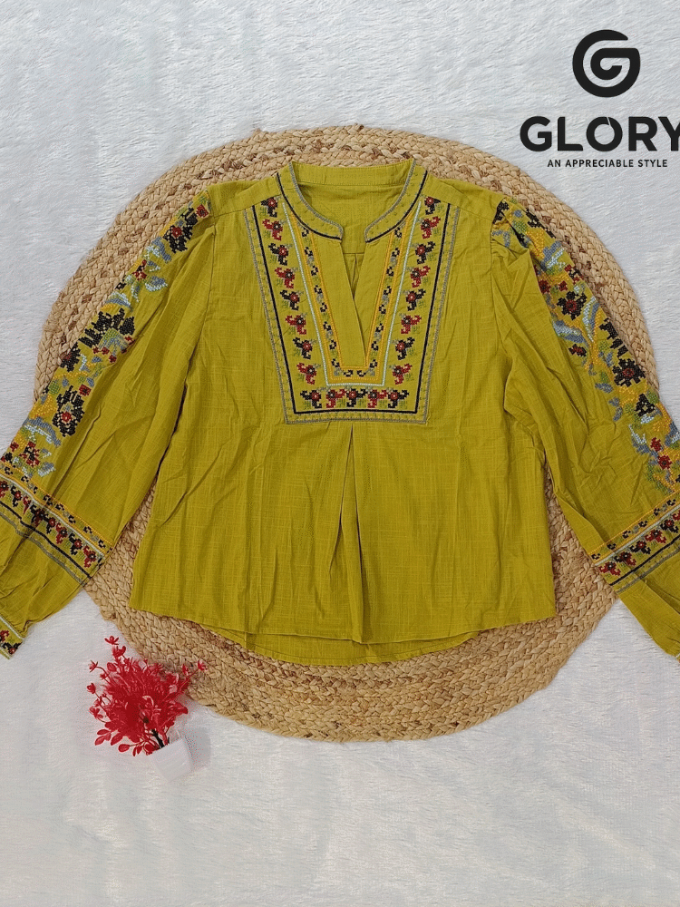 Women's Fancy Top With Beautiful Multicolor Embroidery Work